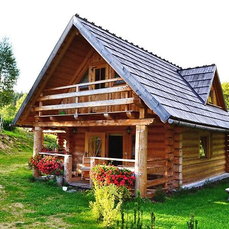 Lesniowka Domki W Karpaczu Luaran gambar