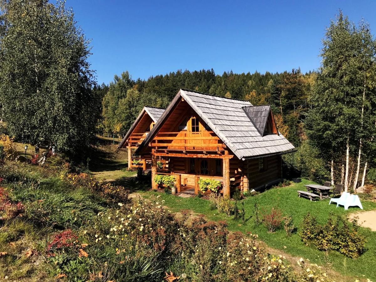 Lesniowka Domki W Karpaczu Luaran gambar
