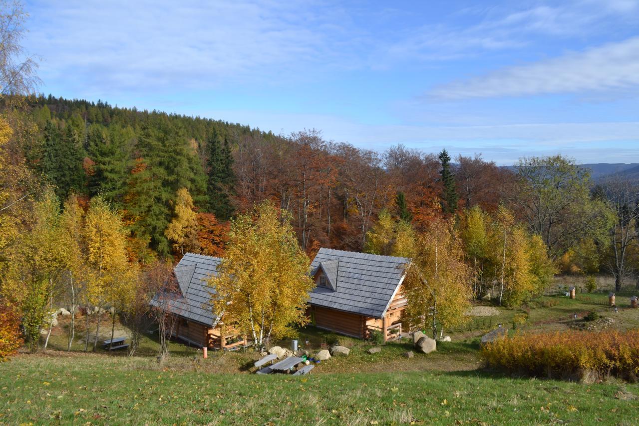 Lesniowka Domki W Karpaczu Luaran gambar
