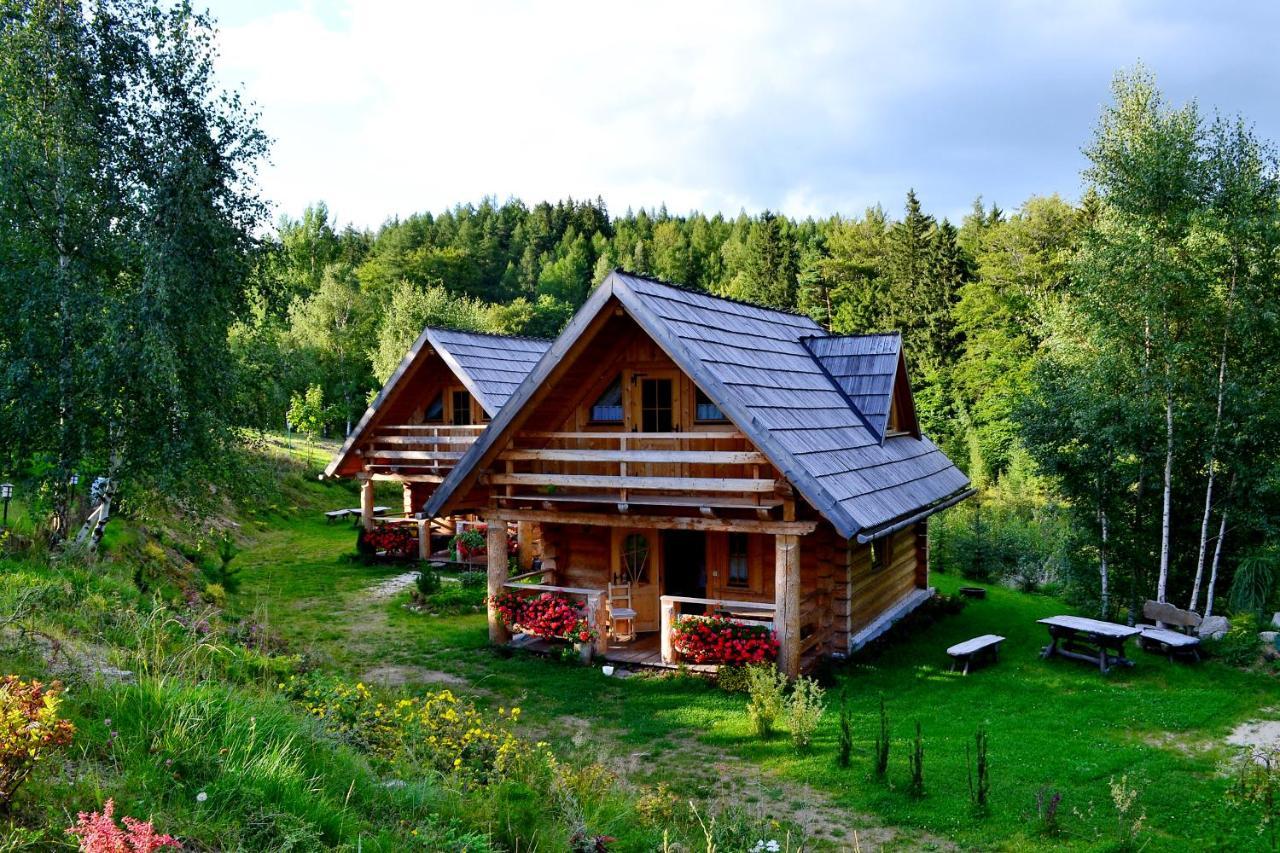Lesniowka Domki W Karpaczu Luaran gambar